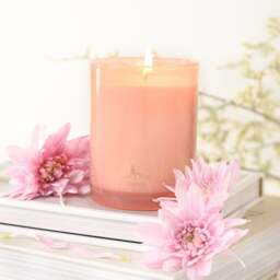 The London Wax Co Summer Fete Candle - thumbnail 1