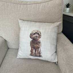 Daro Cockapoo Square Cushion - thumbnail 1
