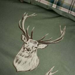 Catherine Lansfield Stag Check Polycotton Duvet Cover & Pillowcase Set - thumbnail 4