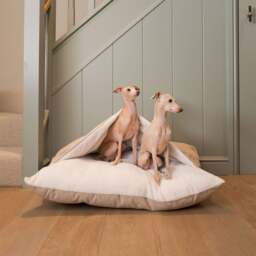 Lords and Labradors Savanna Burrow Dog Bed - thumbnail 1