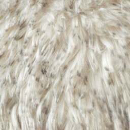 Catherine Lansfield Arctic Fox Square Cushion - thumbnail 2