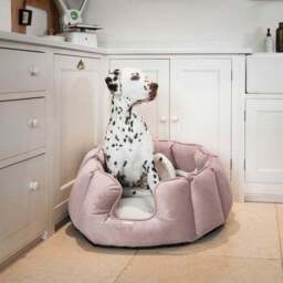 Lords and Labradors Velvet High Wall Dog Bed - thumbnail 2