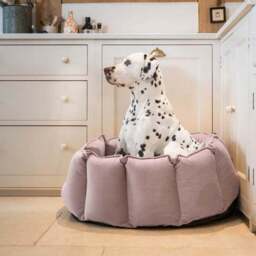 Lords and Labradors Velvet High Wall Dog Bed - thumbnail 3