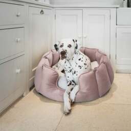Lords and Labradors Velvet High Wall Dog Bed - thumbnail 1