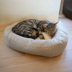 Rosewood Dotty Cat Bed
