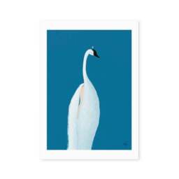 East End Prints Swan Maybe Print - thumbnail 2