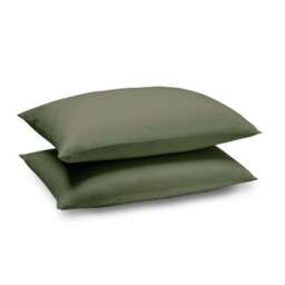 Pure Cotton Large Standard Pillowcase Pair - thumbnail 3