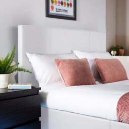 XR Living Ava TV Bed with LED Lights and TV Mount - thumbnail 4