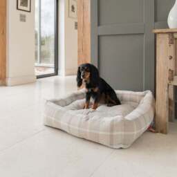 Lords and Labradors Balmoral Box Dog Bed - thumbnail 2