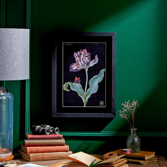 Tulip Framed Print - image 1