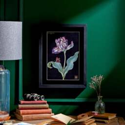 Tulip Framed Print - thumbnail 1