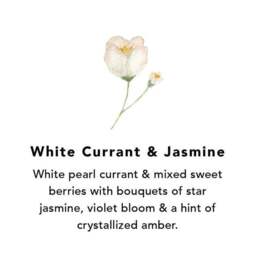 Northern Lights Set of 6 White Currant and Jasmine Votive Candles - thumbnail 2