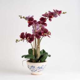 Artificial Real Touch Dark Pink Phalaenopsis Orchid in Ceramic Plant Pot - thumbnail 5