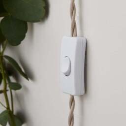 Pride and Joy Plug In Wall Light - thumbnail 4