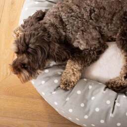Lords and Labradors Spotty Donut Dog Bed - thumbnail 2