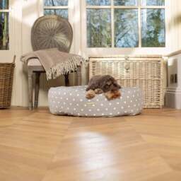 Lords and Labradors Spotty Donut Dog Bed
