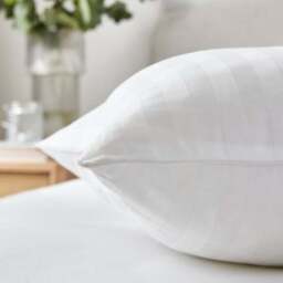 Hotel Pack of 2 Luxury Cotton Side Sleeper Pillows - thumbnail 3