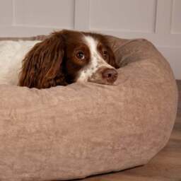 Scruffs Oslo Donut Dog Bed - thumbnail 2