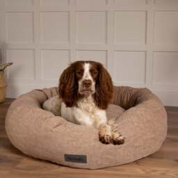 Scruffs Oslo Donut Dog Bed - thumbnail 1