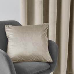 Luxe Velour Cushion - thumbnail 1