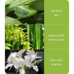 Heart and Home Bamboo & Ginger Lily Jar Candle - thumbnail 4
