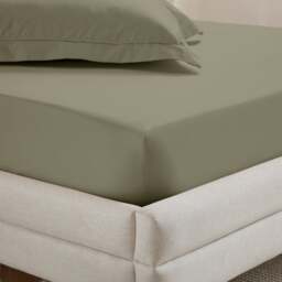 Dorma Crisp & Fresh 400 Thread Count Egyptian Cotton Percale Fitted Sheet