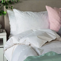 Snuggledown Pack of 2 Scandinavian Duck Feather and Down Side Sleeper Pillows