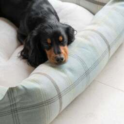Lords and Labradors Balmoral Box Dog Bed - thumbnail 2