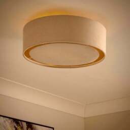 Nesa 2 Light Shallow Flush Ceiling Light - thumbnail 2