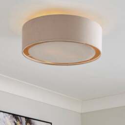 Nesa 2 Light Shallow Flush Ceiling Light - thumbnail 1