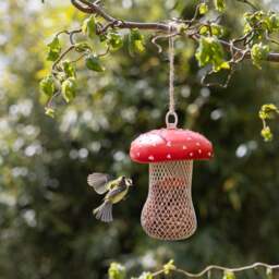 Fallen Fruits Fly Agaric Bird Feeder - thumbnail 1