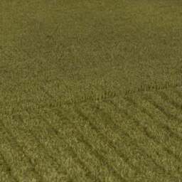 Boston Wool Border Rug - thumbnail 3
