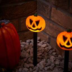 Set of 5 Pumpkin Stake Lights - thumbnail 2