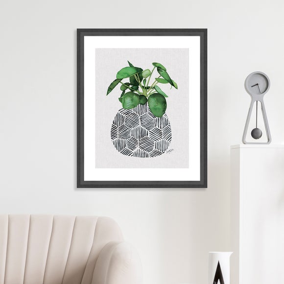 The Art Group Chinese Money Plant Framed Print - image 1