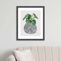 The Art Group Chinese Money Plant Framed Print - thumbnail 4