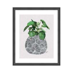 The Art Group Chinese Money Plant Framed Print - thumbnail 2