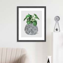 The Art Group Chinese Money Plant Framed Print - thumbnail 1