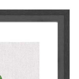 The Art Group Chinese Money Plant Framed Print - thumbnail 3