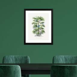 The Art Group Zebra Palm Framed Print - thumbnail 1