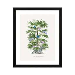 The Art Group Zebra Palm Framed Print - thumbnail 2