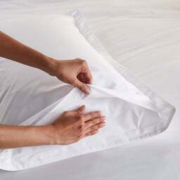100% Egyptian Cotton 220 Thread Count Oxford Pillowcase - thumbnail 3