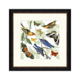 Artko Nature's Flight Framed Print - thumbnail 3