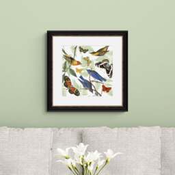 Artko Nature's Flight Framed Print