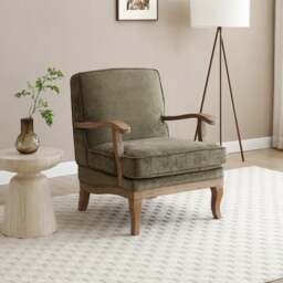 Esme Distressed Chenille Occasional Chair - thumbnail 1
