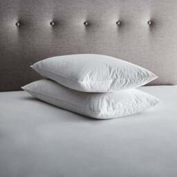 Fogarty Pack of 2 Duck Feather & Down Back Sleeper Pillows - thumbnail 2