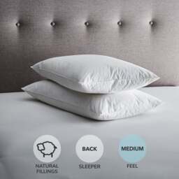 Fogarty Pack of 2 Duck Feather & Down Back Sleeper Pillows - thumbnail 1
