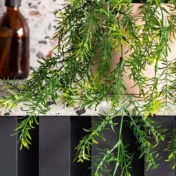 Artificial Hanging Asparagus Plant - thumbnail 2