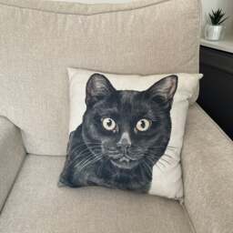 Christine Varley Black Cat Square Cushion
