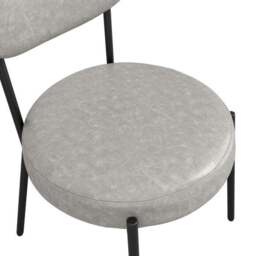 Smith Faux Leather Set of 2 Dining Chairs - thumbnail 6