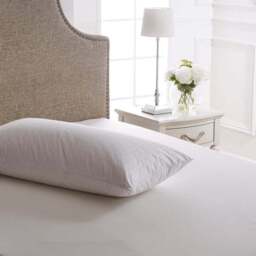 Dorma Hungarian Goose Down Back Sleeper Pillow - thumbnail 3